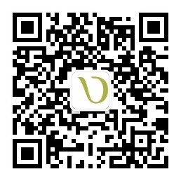 DV服务号二维码